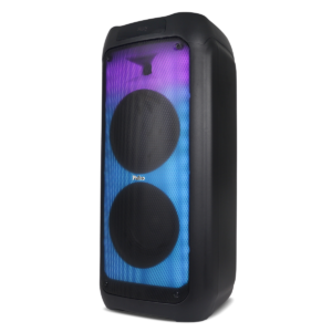 CAIXA DE SOM AMPLIFICADA PCX10101